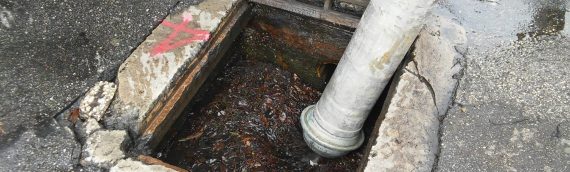 Storm Area Drain Cleaning