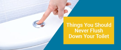 Things That You Should Not Flush Down Your Toilet El Cerrito San Diego